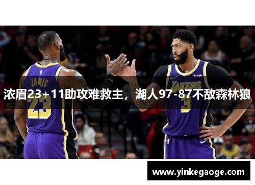 浓眉23+11助攻难救主，湖人97-87不敌森林狼